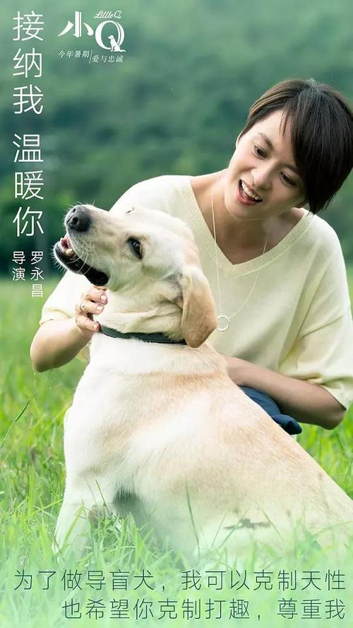 苏州不动产证查询官网